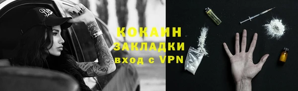 твердый Сатка