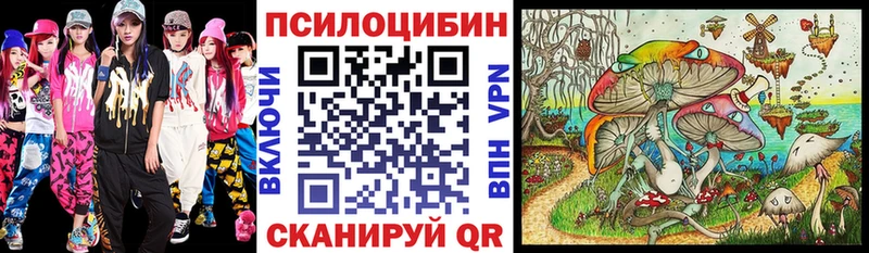 Псилоцибиновые грибы мицелий mega ТОР Грязовец