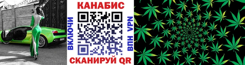 Конопля Amnesia  продажа наркотиков  дарк нет Telegram  Грязовец 